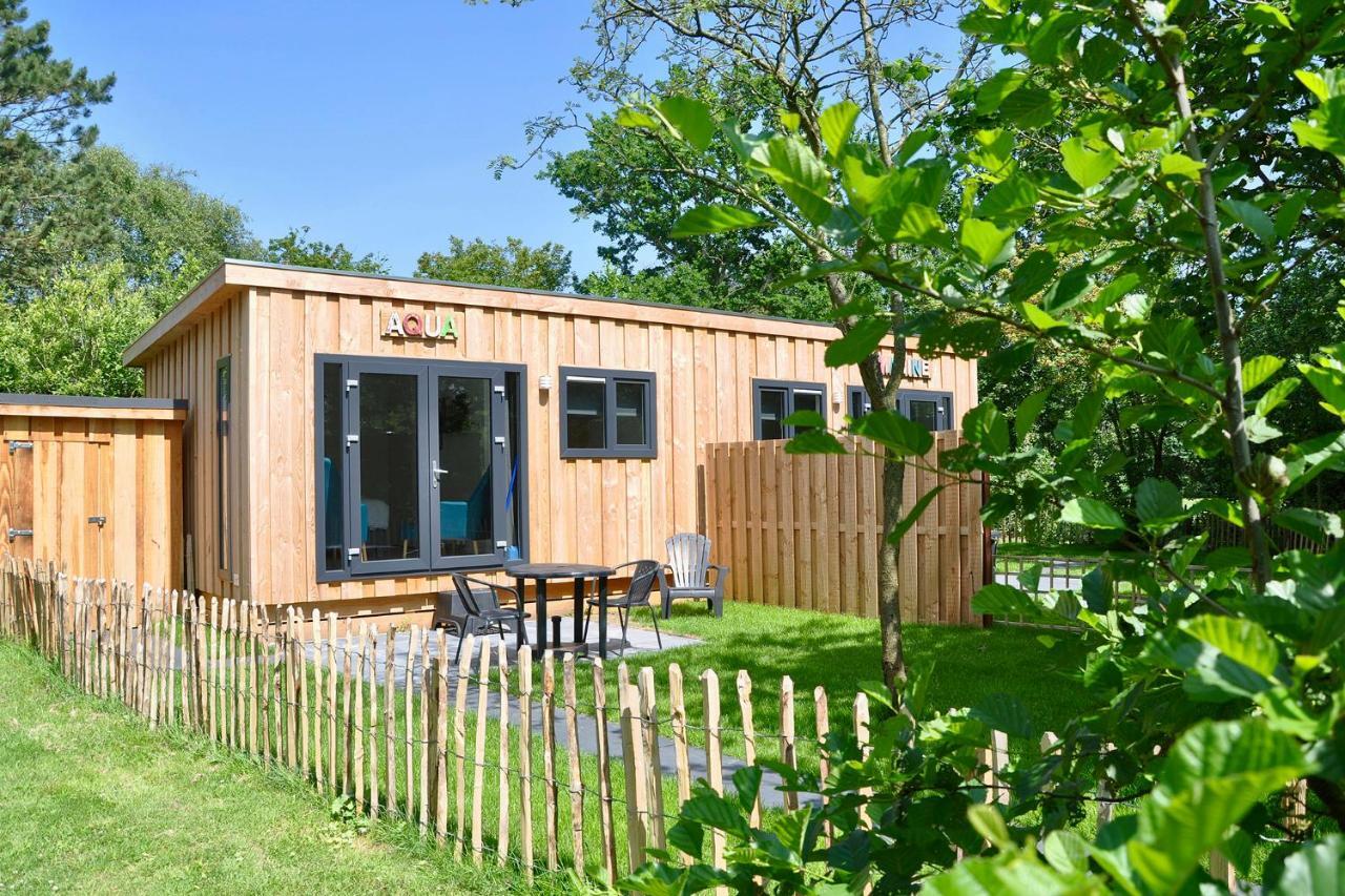 Chalet Studio Aqua - Campanula - Sint Maartenszee Villa Sint Maartensvlotbrug Eksteriør bilde